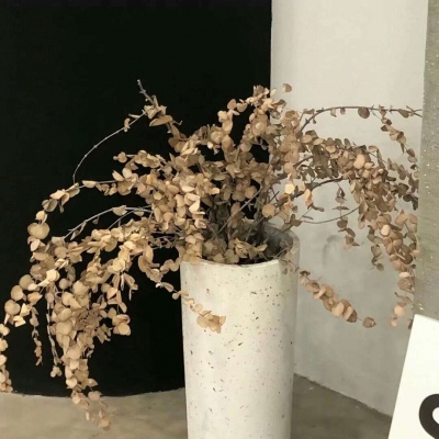 兽设森林场景创作兽圈群